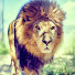 Channel Image