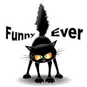 Funny Cats Ever