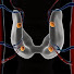 cL1jms5eBjI-channel-avatar-The Thyroidparathyroid Center