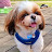 @꼬맹이대장