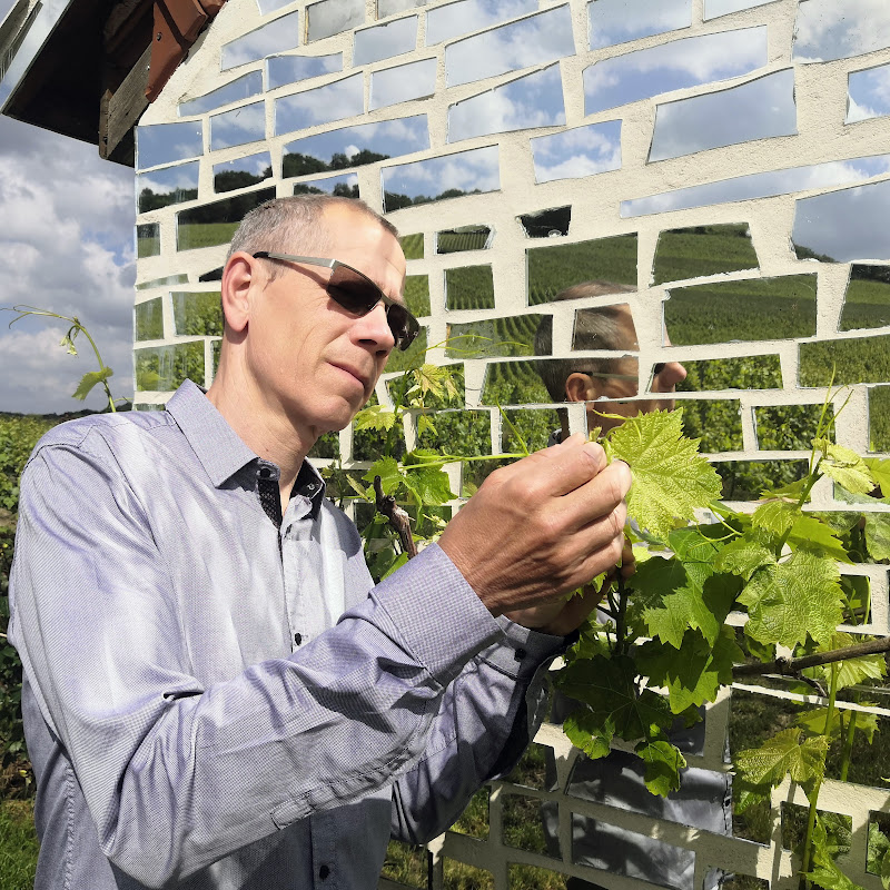 Guide VERON des Champagnes