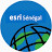 esri senegal