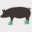 dPiU6djqV2g-channel-avatar-This Greedy Pig