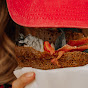 Abi Frances Food Avatar