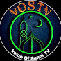 Voice Of Sunni TV logo