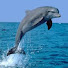AmWbcj1sQdg-channel-avatar-viktor72Laz