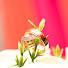 qimvAR8BWqw-channel-avatar-TOPGH WEDDINGS