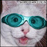 raiknGIp0K8-channel-avatar-Shadowriver