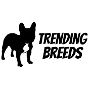 Trending Breeds