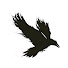 9DwKvefxrqU-channel-avatar-RavenTek