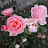 @johnwaxman1266
