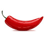 Spicycookery logo