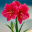 @jewelamaryllis4320