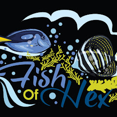 FishOfHex Aquatics Avatar