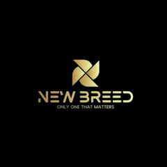 New Breed net worth
