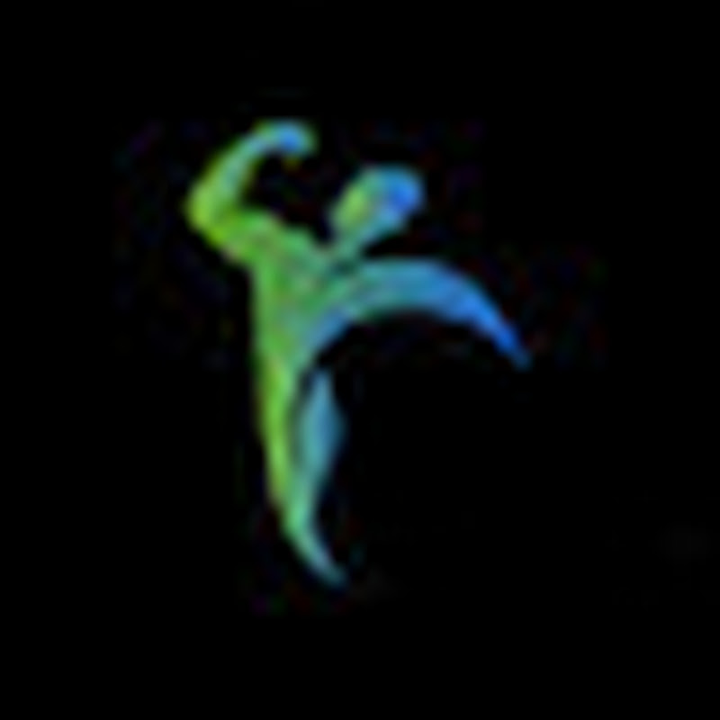Channel Avatar