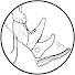 ddItHL4HwRk-channel-avatar-Bootstrappin'
