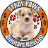 XI5-itRAfmY-channel-avatar-STRAY PAWS