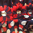 UY4bf8Rj2pI-channel-avatar-Amis Stitches & Crafts