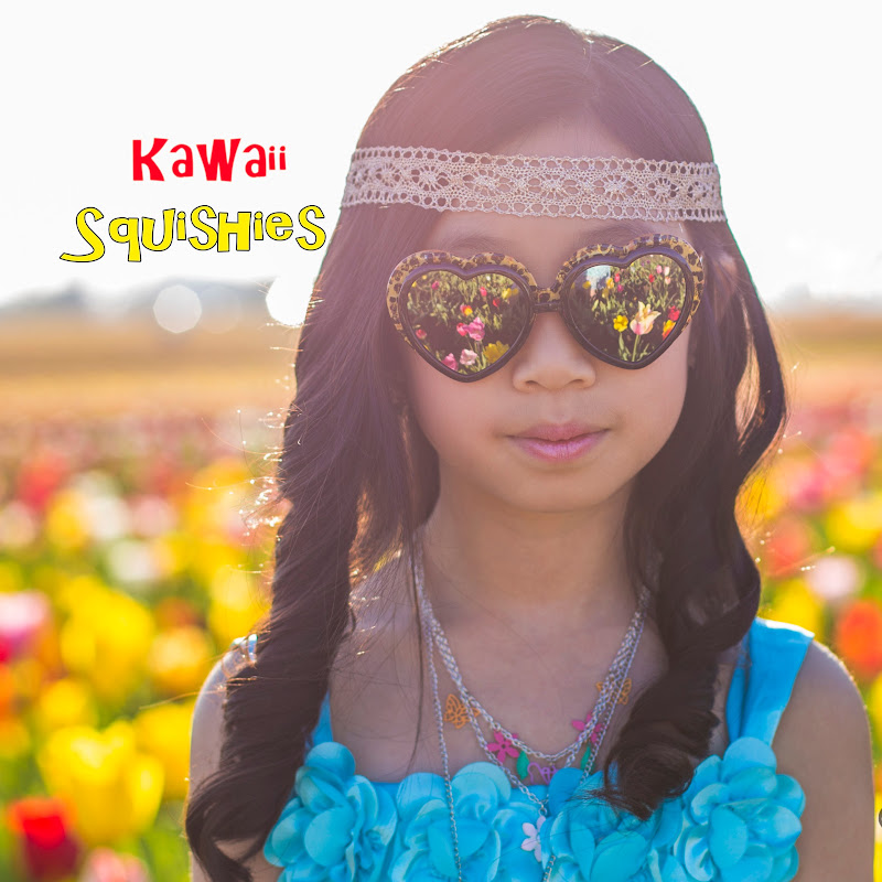 Kawaii Squishies