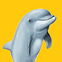 Witty Dolphin - Life Quotes