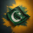 avatar of @ahmadullah8864