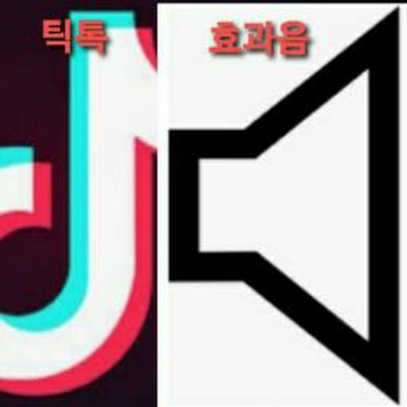 틱톡효과음