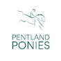 Pentland Ponies logo