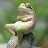 @Mrfrog-kj8su