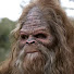 ZYu_n8QdWFg-channel-avatar-Cookin with Sasquatch