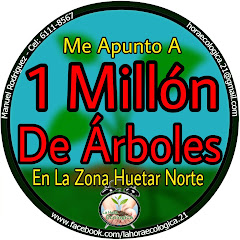 Millón De Arboles La Hora Ecológica