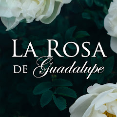 La Rosa de Guadalupe avatar