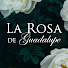 5AHApDSdjjE-channel-avatar-La Rosa de Guadalupe