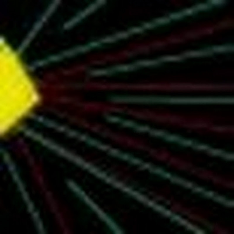 ANACONDA 3 🎬(2026) New Action Movie | Hollywood Action Survival English Movie | 4K Ultra