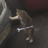 Автор