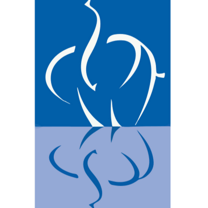 龍應台文化基金會 Logo