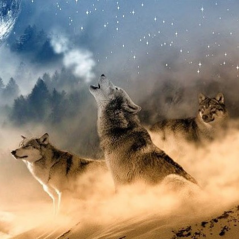 Skage Skywolf