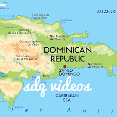 sdq videos net worth