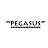 Pegasus Interactive