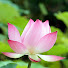 QyjLwZyOH5U-channel-avatar-GF Tsai