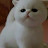 @pinechoi7456