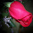 @renitacipriani1216's avatar