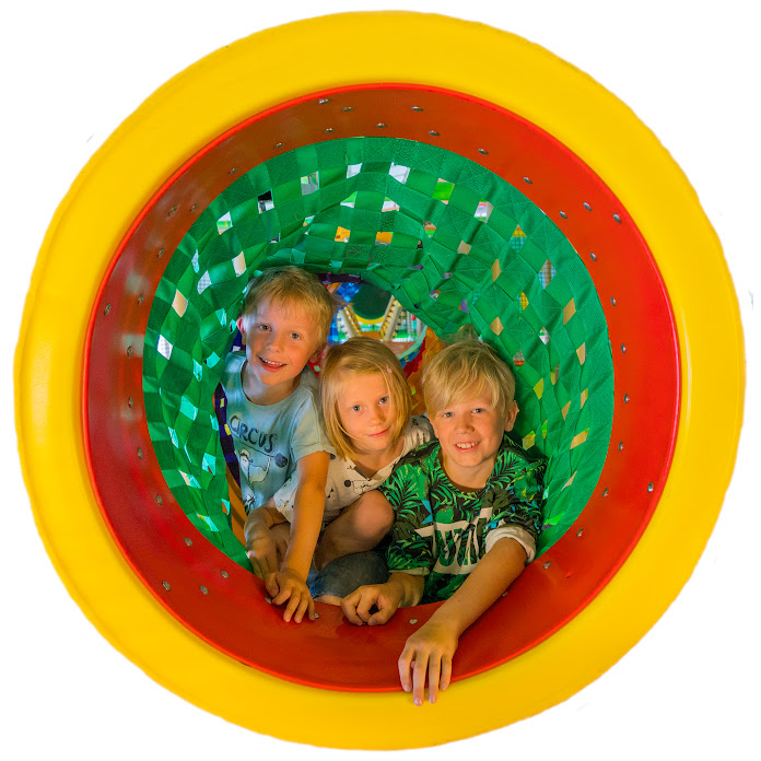 Family Playlab Net Worth & Earnings (2025)