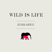 Wild is Life Trust Zimbabwe Elephant Nursery
