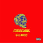 Ambiguous Culture logo
