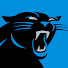 biTX8IW_Fnc-channel-avatar-Carolina Panthers