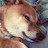 youtube avatar