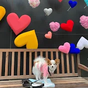 らむこつぽて*犬と猫とシンプルライフ