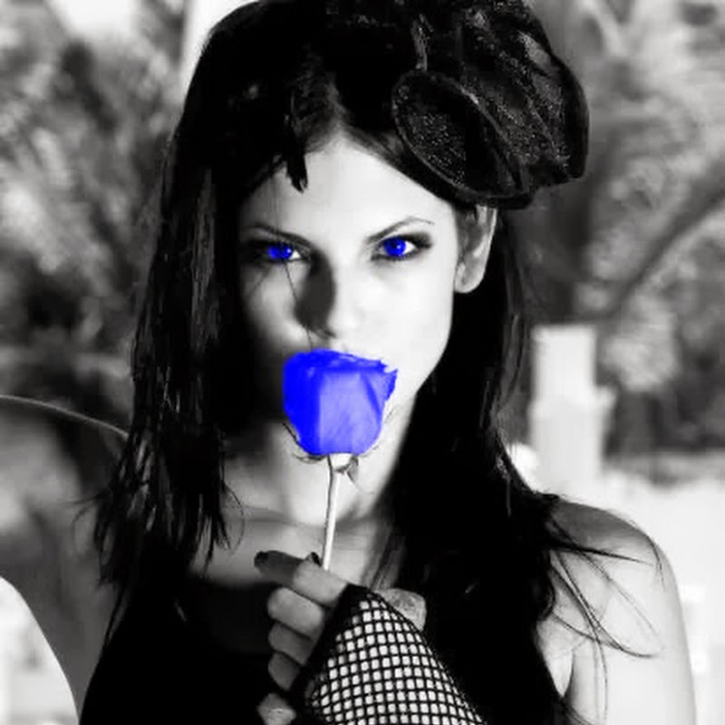 blueroses064
