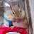 @WhistlesToAnimals's avatar